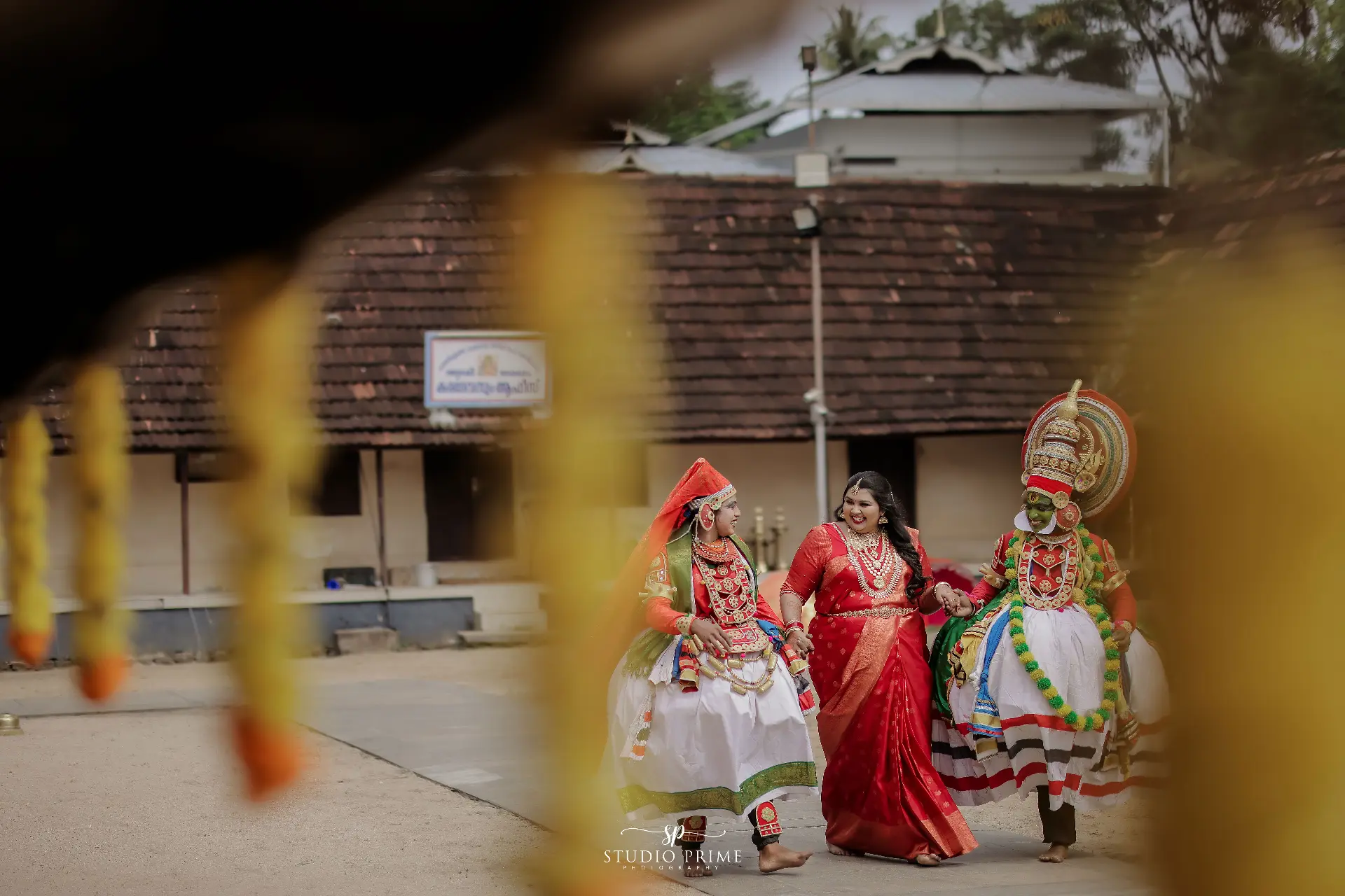 Professional Photographer